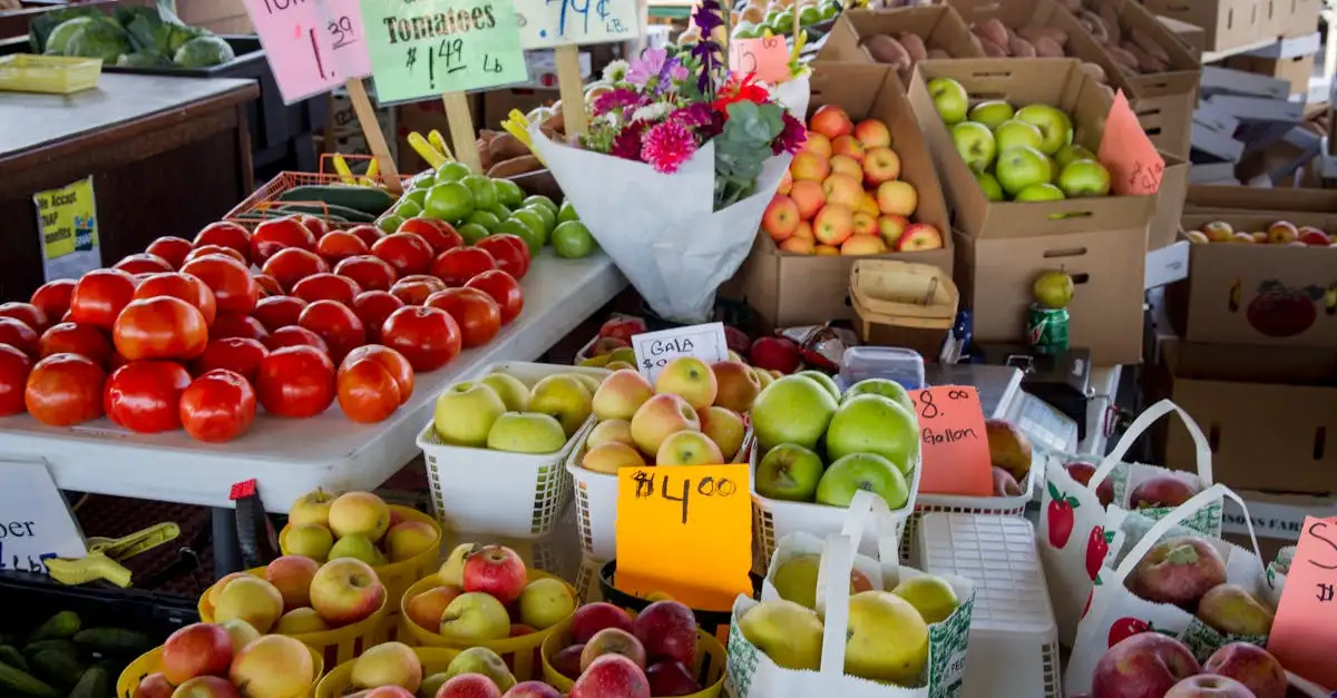 Economiser epicerie quebec