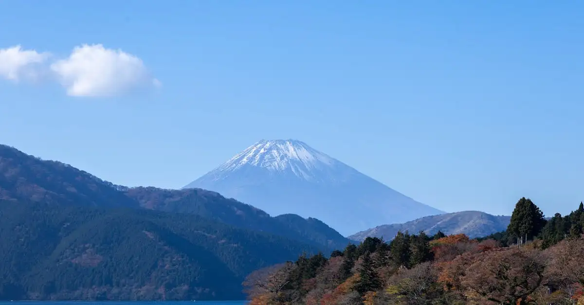 Comment economiser pour aller au japon