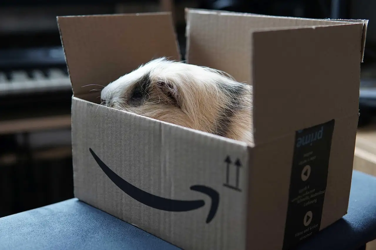 Economiser avec amazon prime