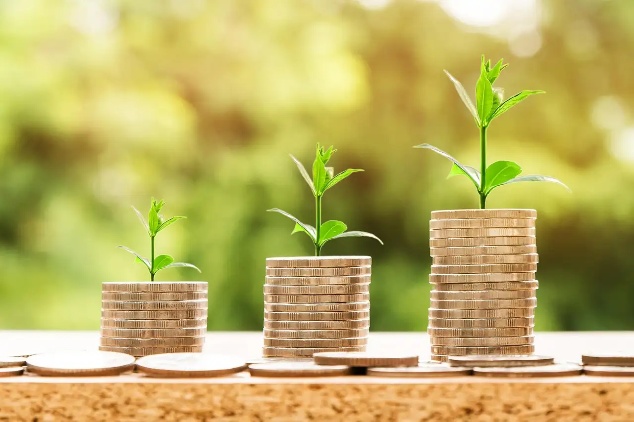 Stratégie pour économiser 50% de votre salaire chaque mois