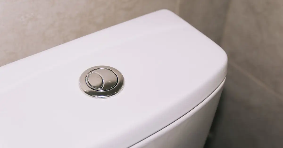 Economiser de l eau sur sa chasse d eau