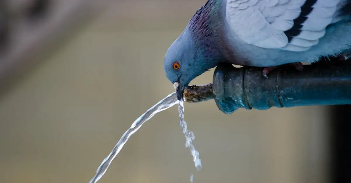 Geste eco citoyen pour economiser l eau