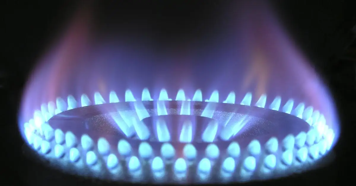 Chauffage au gaz comment economiser